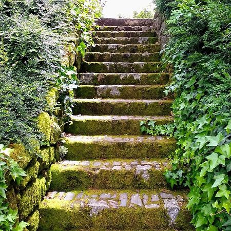 Casa Do Prado Guesthouse ヴィラ・レアル エクステリア 写真